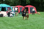 IMG_5531