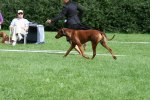 IMG_5542