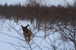 IMG_7182_2