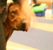 IMG_7282