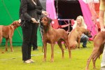IMG_9979