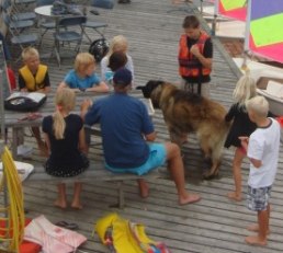 Rådslag före segling med Brygghunden Laban som ivrig deltagare