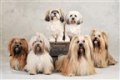 Gruppbild