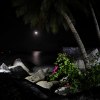 _DSC2842