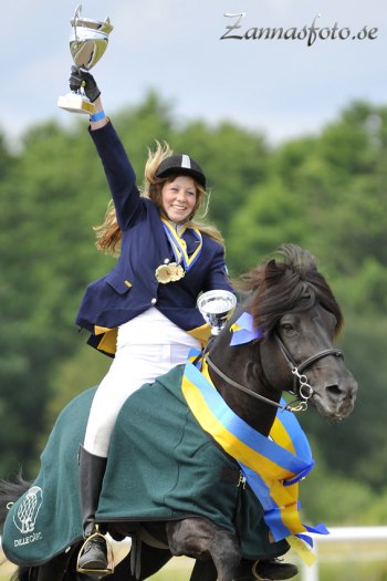 SVENSKA MÄSTARE 2011