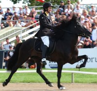 Maria med egenuppfödda Kolgrimur från Slätterne. Världsmästare 2009 & 2011
