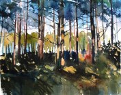 Skog 2.