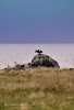 gotland 075 -1 redigeradgalleri