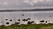 gotland 402-1 redigeradgalleri
