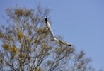 _DSC0578_edited-1