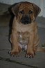 Kito 2, Foto Ana-Isabel Hurtzeler-Gomez