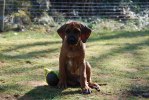 Kito 4, Foto Ana-Isabel Hurtzeler-Gomez