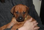 Zamina - foto Ana-Isabel Hurzeler-Gomez