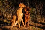 _DSC0841 (2)