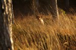 _DSC0879 (2)