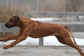 IMG_7358