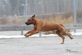 IMG_7378