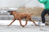 IMG_7491