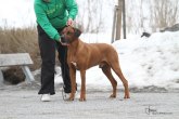 IMG_7539