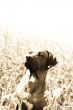 20090502-IMG_5837