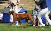 20090809_askersund_0258