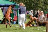 20090809_askersund_0372