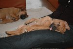 DSC_0026-1
