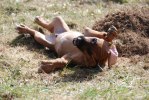 DSC_0247-3