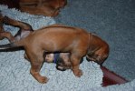 DSC_0204