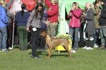 Zanthos på sin första utställning i Almare Stäket
