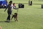 20100904_IMG_2356_