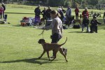 20100904_IMG_2360_
