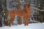 155724_170382722985697_100000419127984_455385_7864628_n