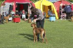 20100904_IMG_2211_