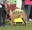 20100904_IMG_2240_
