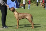20100904_IMG_2496_