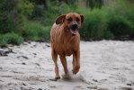 DSC_0402-1
