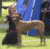 Årstautställn20100529