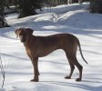 Zammi 2 år 20110204 