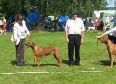 Singoalla BIR och BIG 4, Vänersborg 2007 Foto Marie Wijkander