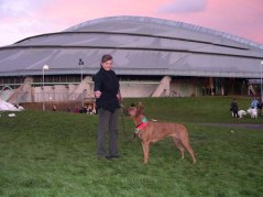 Singoalla CERT, CACIB och blir Norsk Champion, Hamar 2006