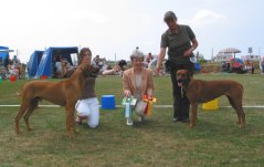 Singoalla BIR och BIG 4, Tvååker 2006
