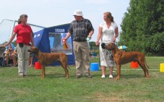 Singoalla CERT, CACIB, Tvååker 2006