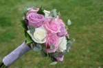 Rosor i lila cream & rosa