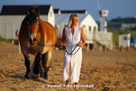 Reklam bilder som jag plåtade ute i Tylösand och ett porträtt på en hästtjej