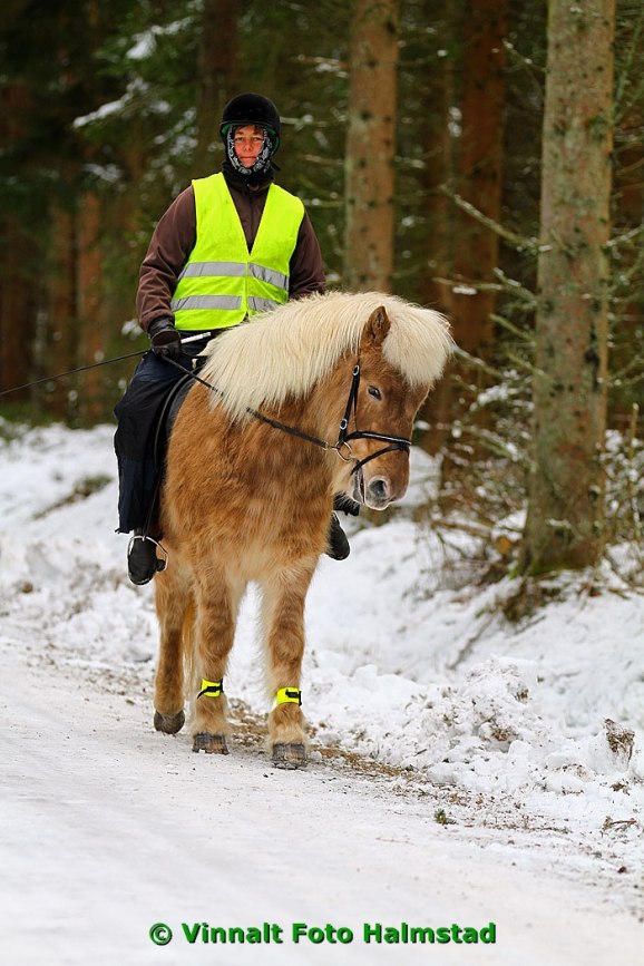 Kvinnan på bilden var inte med från början och jag kommer med bilen in i en snövall och börjar plåta...hoppas du har återhämtat dig, men jag kunde inte låta bli såg riktigt fint ut när ni kom i backen!!