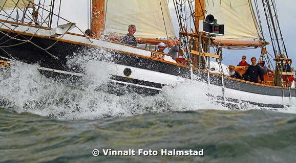 Tall Ships Races.