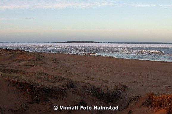 Bilden är från Tylösand idag och det tar nog ett tag till innan isen släpper.