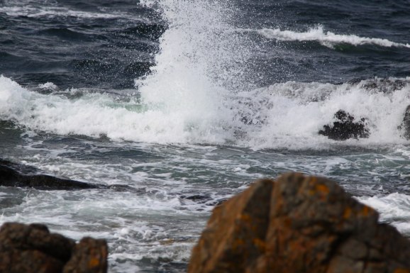 Bilden är från samma dag...en ganska taggig kust!1