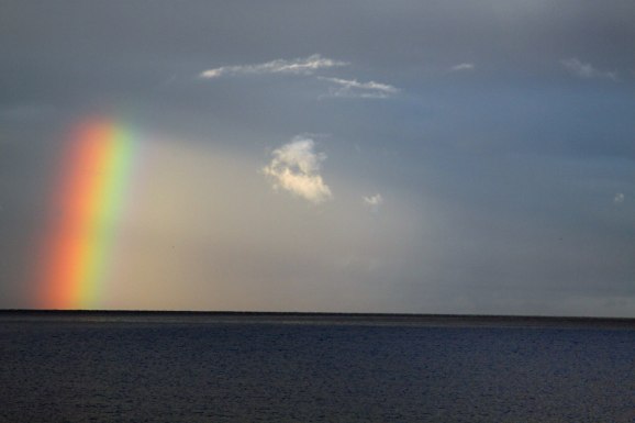 Naturens egna belysning!!